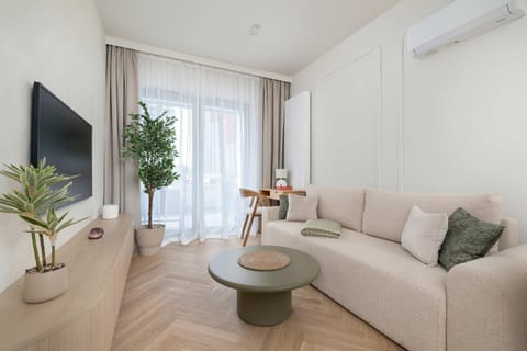 TV and multimedia, Living room, Seating area, air conditioner