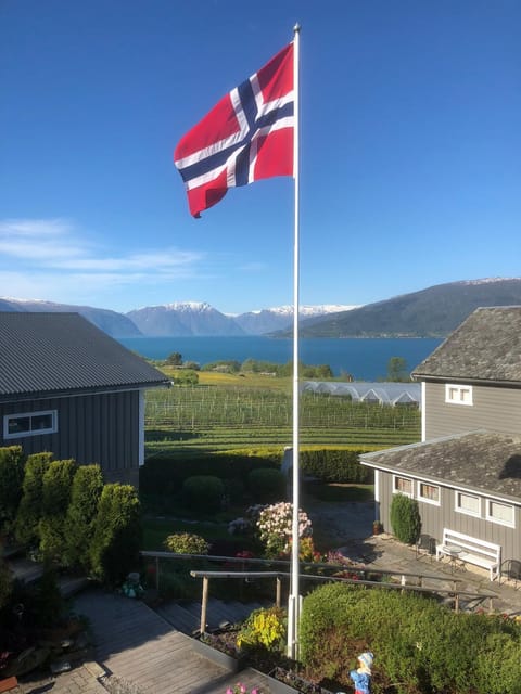 Lake view