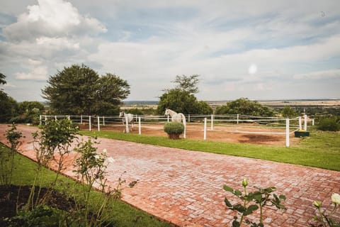 Garden, Horse-riding, View (from property/room), Animals, City view