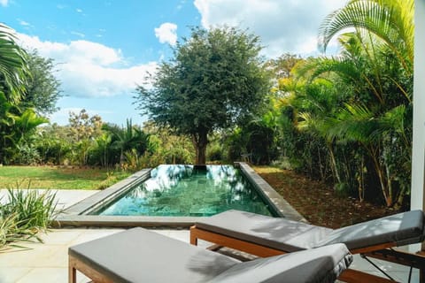 Garden, Swimming pool, sunbed