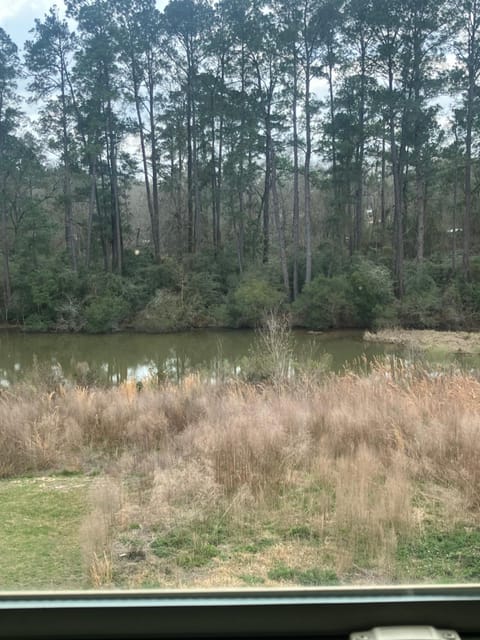 Lake view