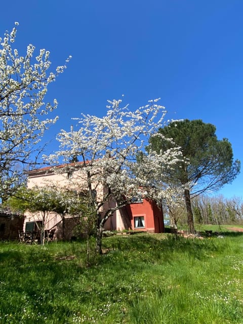Property building, Spring, Day, Natural landscape, Garden, Garden view