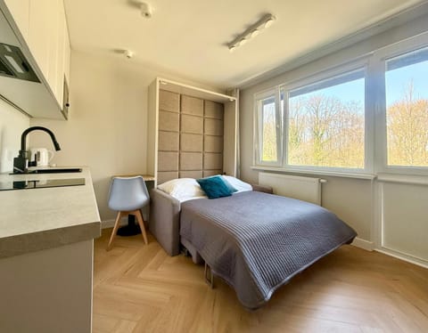 Bed, Kitchen or kitchenette, Photo of the whole room, Bedroom