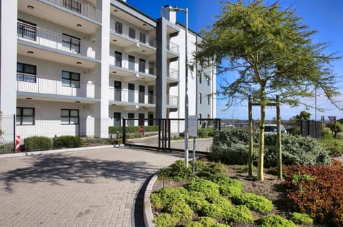 Property building, Day, Garden