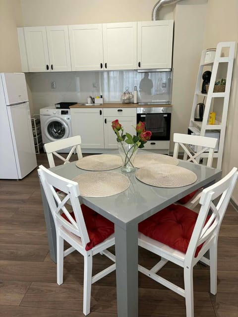 Kitchen or kitchenette, Dining area, oven, washing machine