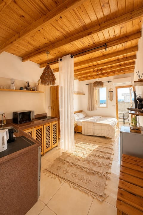 Bed, TV and multimedia, Kitchen or kitchenette, Photo of the whole room, oven