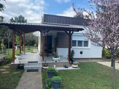Property building, Garden view