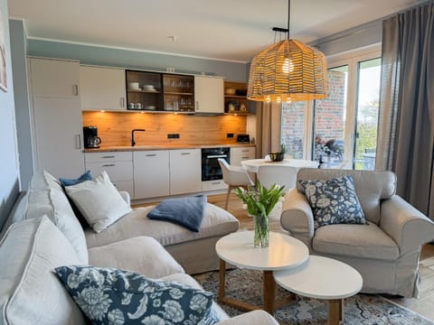 Kitchen or kitchenette, Living room, Seating area, Dining area, stove
