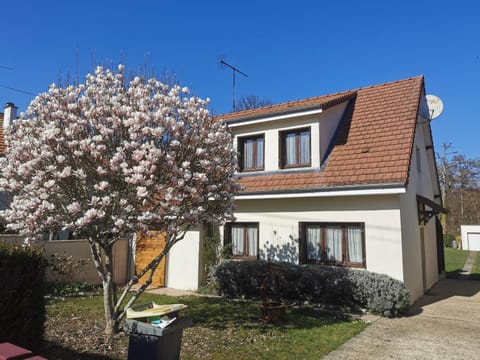 Spring, Day, Garden, Garden view