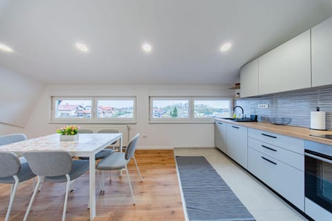 Kitchen or kitchenette, Dining area, oven, stove