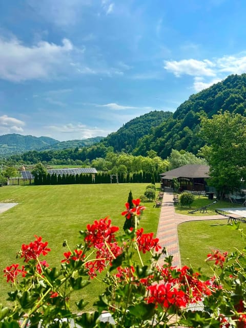 Day, Natural landscape, Garden, Mountain view