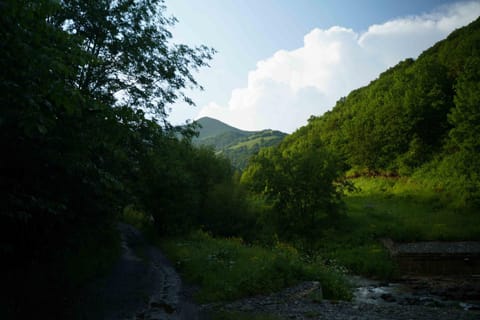 Natural landscape, Mountain view