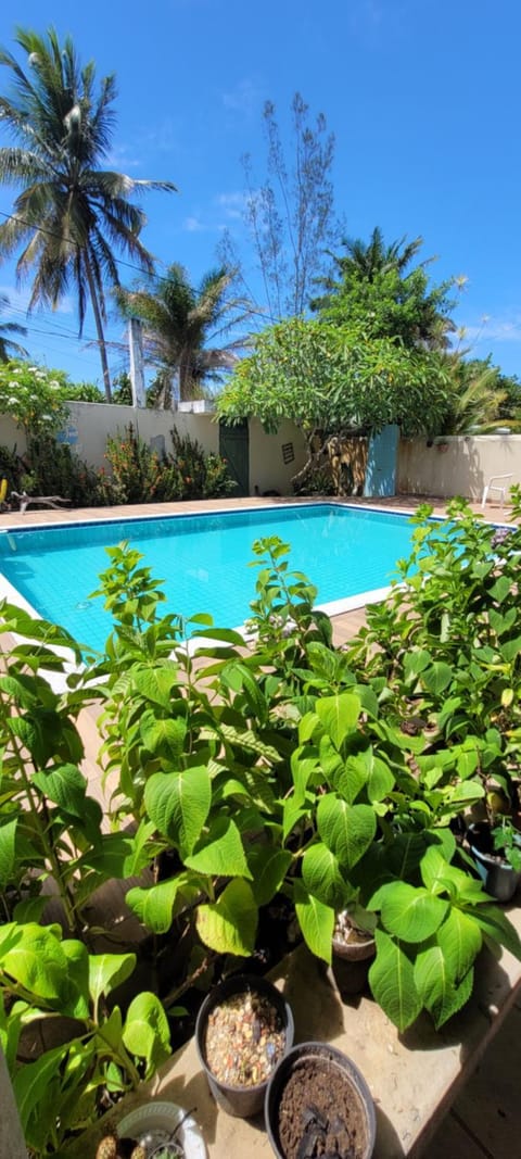 Day, Pool view, Swimming pool, Swimming pool