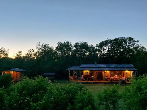 Night, Garden view, Sunset