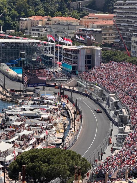 Bird's eye view, View (from property/room)