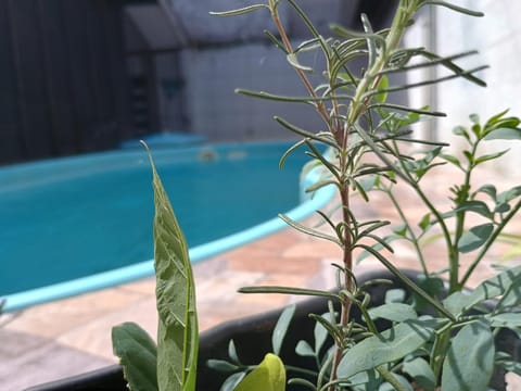 Day, Swimming pool, Swimming pool