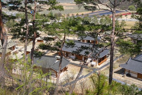 Property building, Natural landscape, Bird's eye view