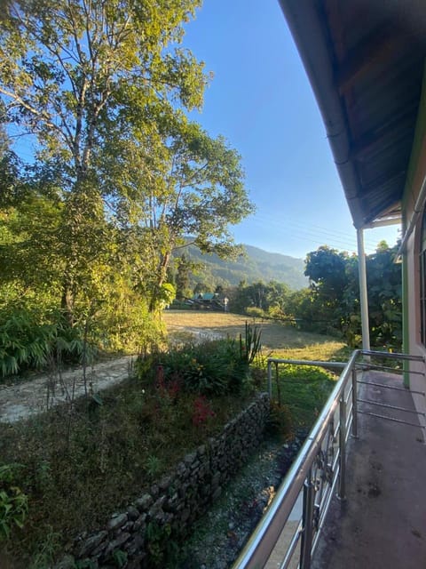 Garden view