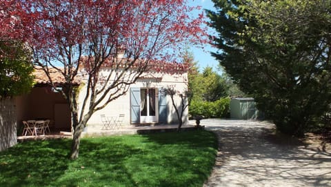 Property building, Garden, Garden view