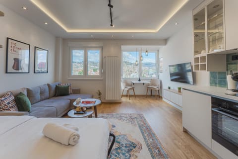 Bed, TV and multimedia, Kitchen or kitchenette, Living room, Seating area
