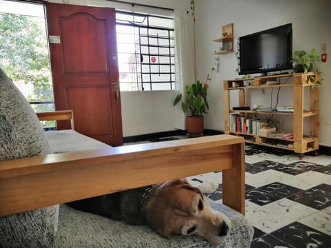 Communal lounge/ TV room, Pets