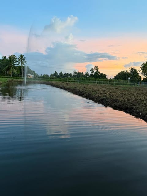 Natural landscape