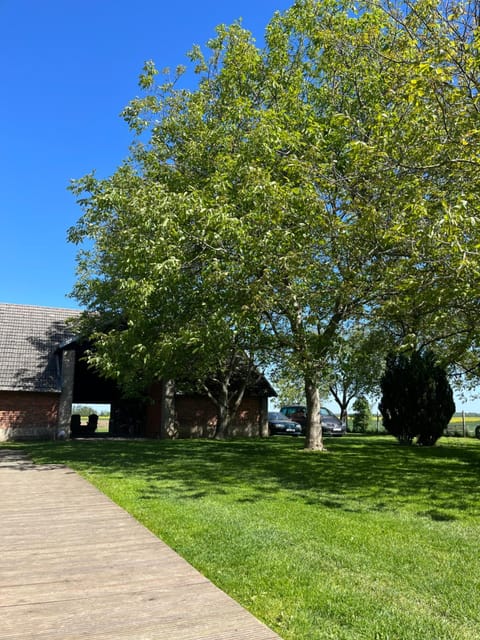 Garden, Garden view