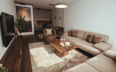 TV and multimedia, Kitchen or kitchenette, Living room, Seating area, Dining area