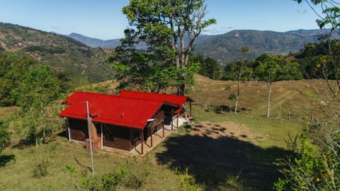 Property building, Spring, Natural landscape