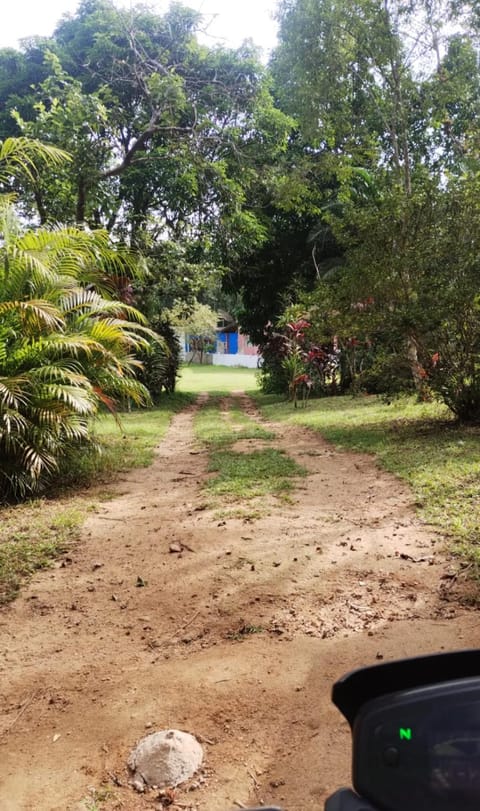 Garden, Garden view