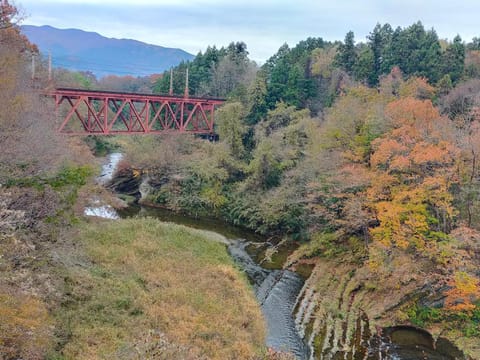 Day, Natural landscape, River view