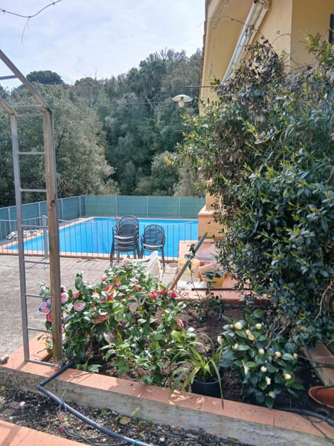Pool view