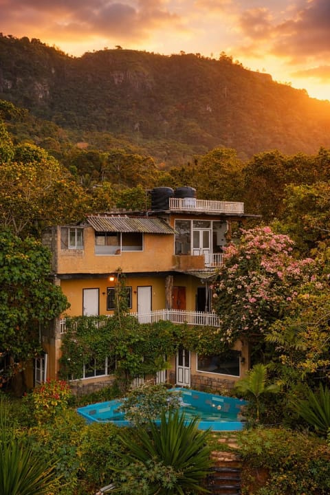 Property view