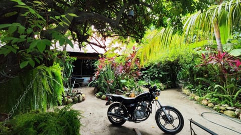 Day, Garden, Garden view