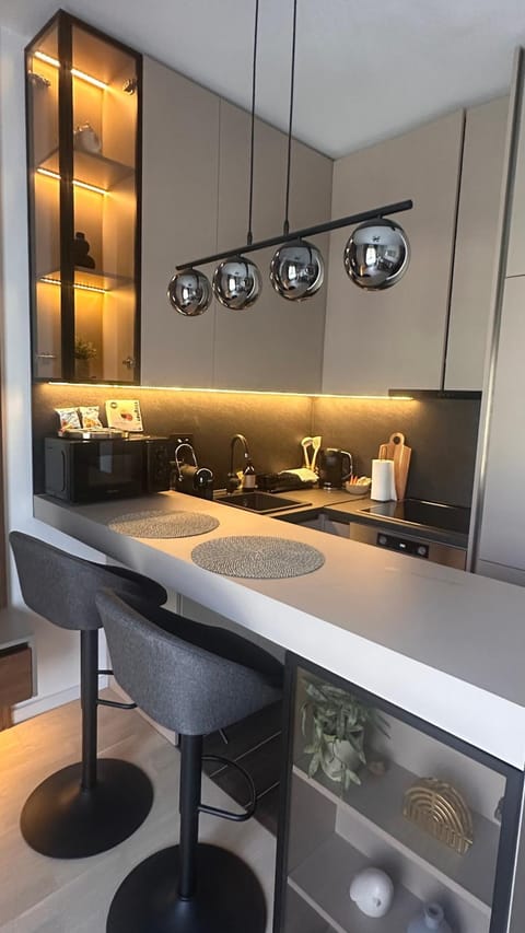 Posh Studio Apartment in Podgorica