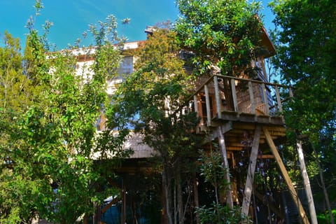 Patio, Facade/entrance, Summer, Garden, Balcony/Terrace, On site, Sunrise