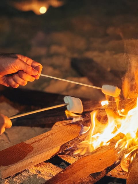 Evening entertainment