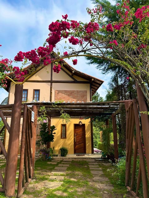 Garden, Garden view