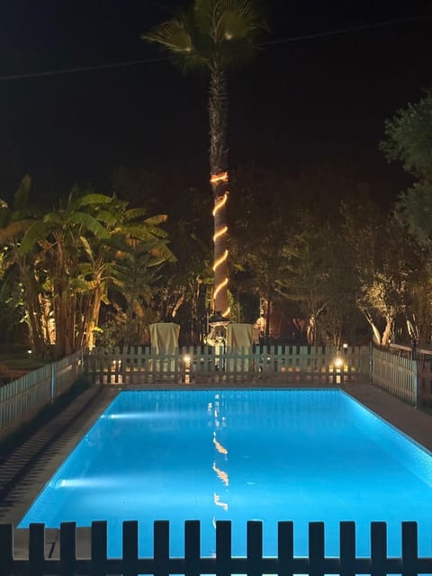 Night, Pool view, Swimming pool