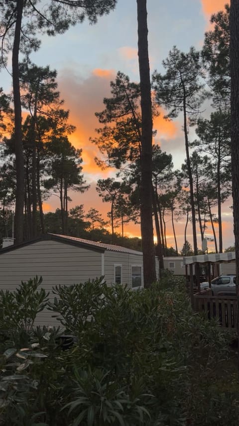 Natural landscape, Sunset