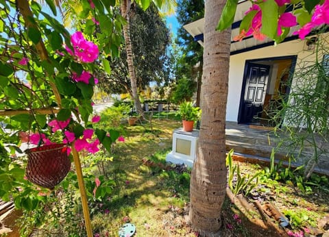 Spring, Garden, Garden view