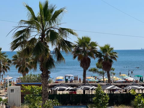 Restaurant/places to eat, Restaurant/places to eat, Spring, Day, Natural landscape, Summer, Beach, Beach, Evening entertainment, Guests, Guests, Sea view, Breakfast, Sunrise, Sunset, sunbed