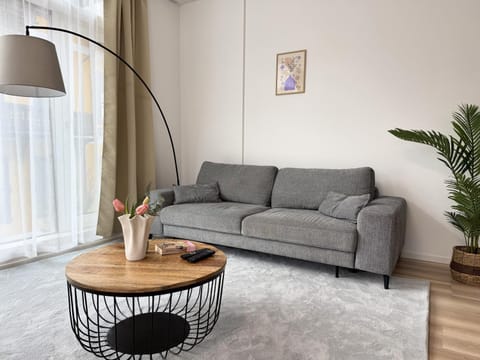 Living room, Seating area, air conditioner