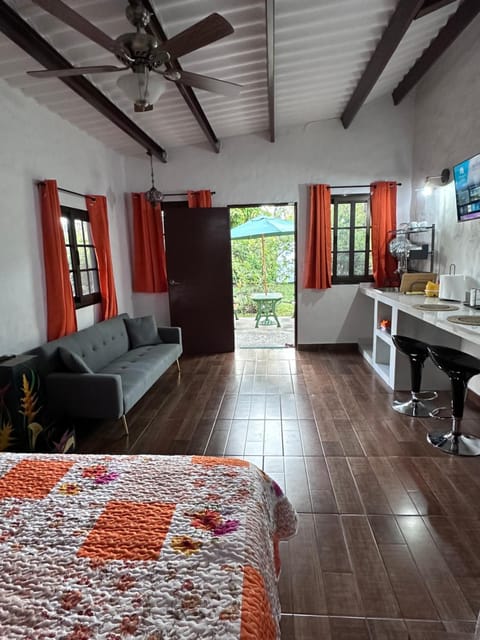 Bed, TV and multimedia, Kitchen or kitchenette, Living room, Photo of the whole room, Dining area, Bedroom