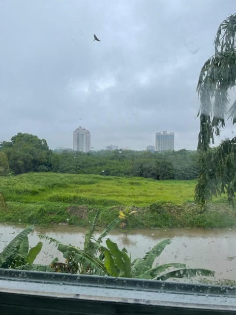Natural landscape, Lake view