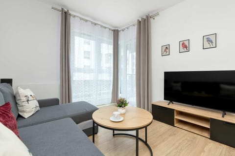 TV and multimedia, Living room, Seating area, Evening entertainment