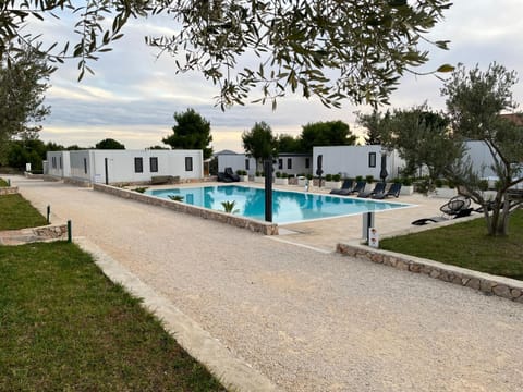 Swimming pool, sunbed