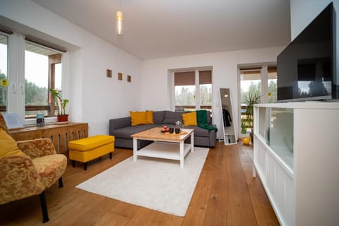 Spring, TV and multimedia, Living room, internet