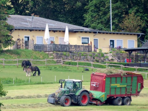 Property building, Horse-riding, Animals, Animals
