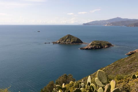 Natural landscape